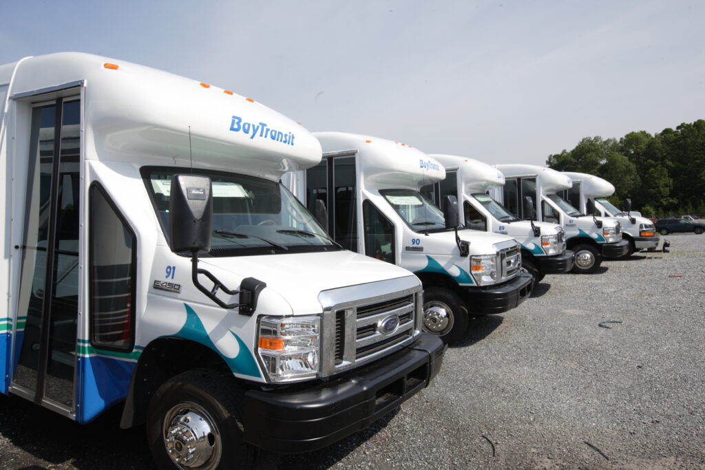 Five Bay Transit 巴士