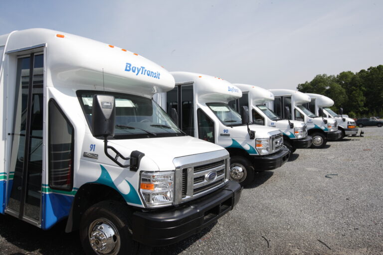 Five Bay Transit 巴士