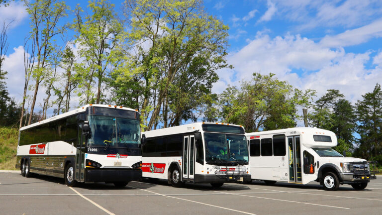 三辆不同尺寸的劳登县巴士